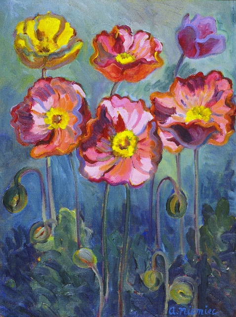 Poppies Oil